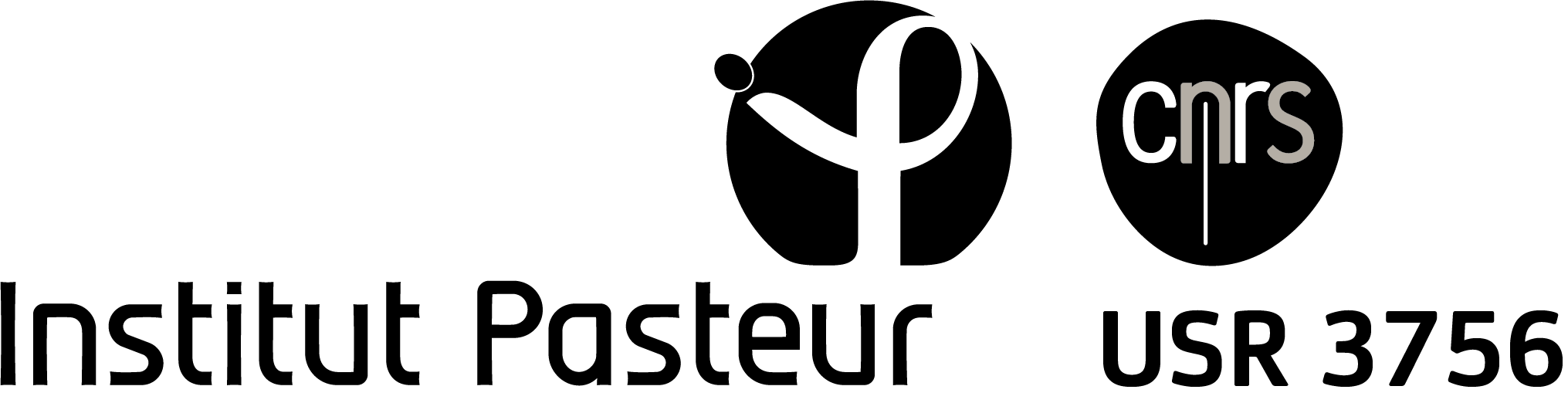 Institut Pasteur Logo