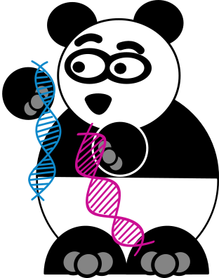 Panda and genes